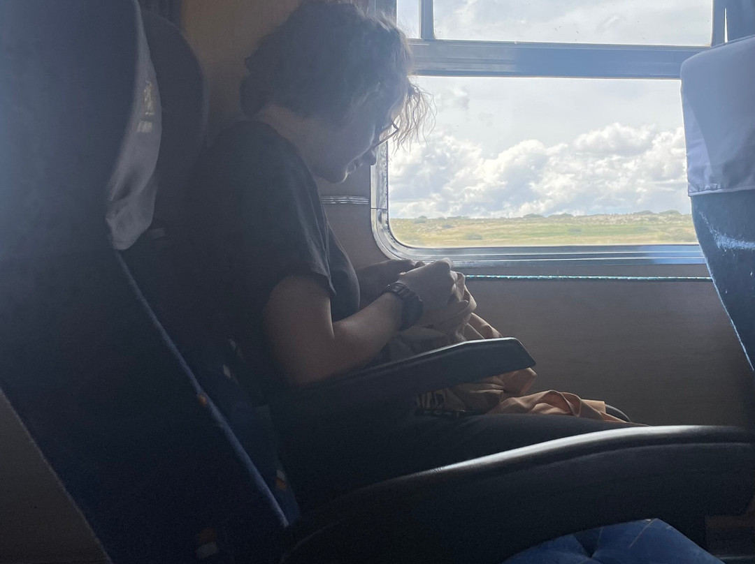 Fca Empresa Ferroviaria Andina S.A-奥鲁罗必去景点