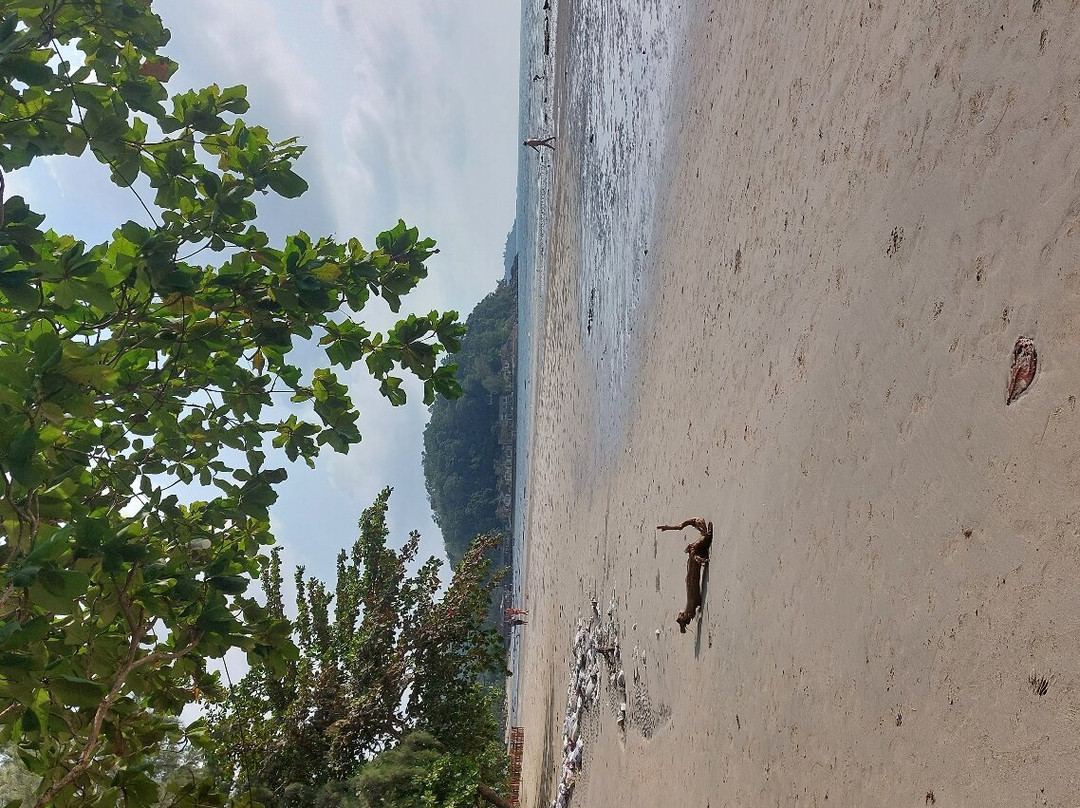 蓝光温泉度假村主图