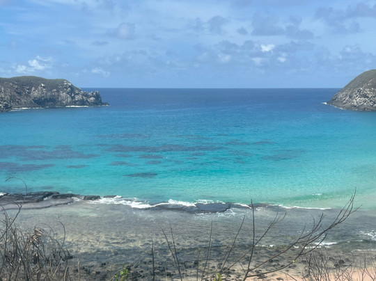 Aloha vaa-费尔南多-迪诺罗尼亚群岛必去景点