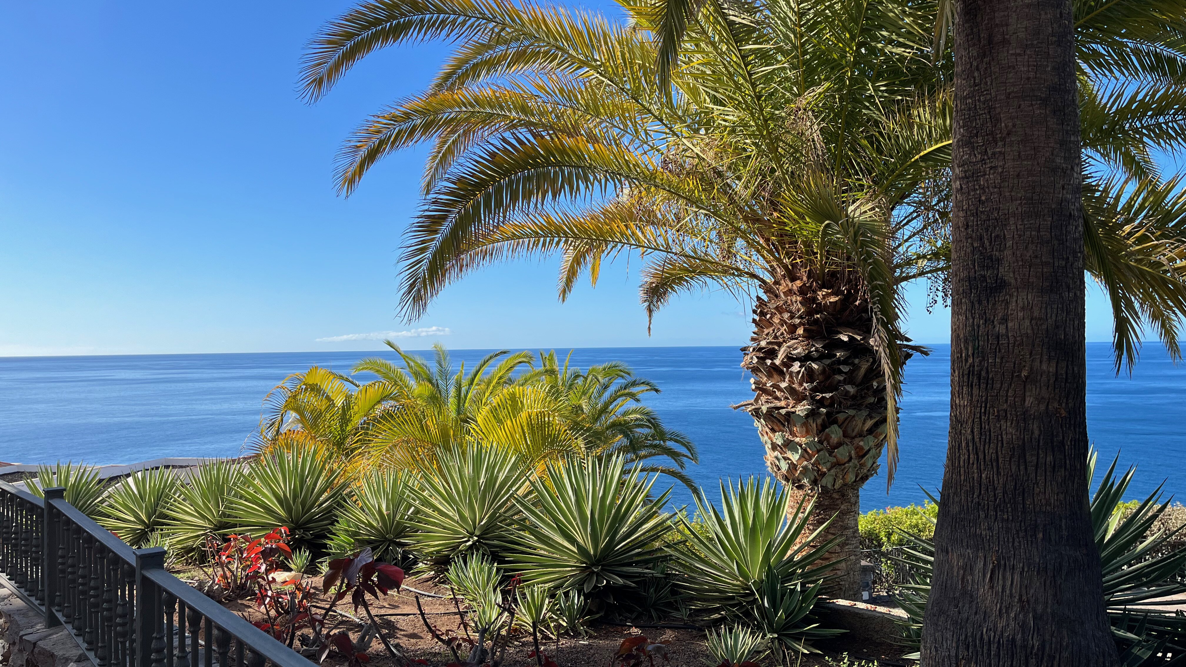 Hotel Jardin Tecina-浴室