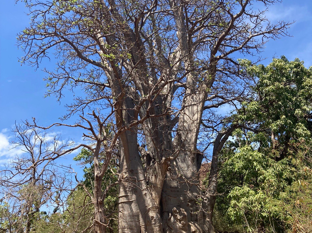 Cidade Velha, Historic Centre of Ribeira Grande-大贝里拉历史中心旧城必去景点
