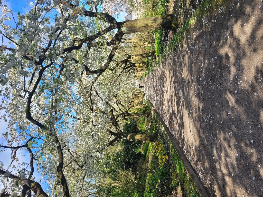 Les Jardins de Valloires景点图片