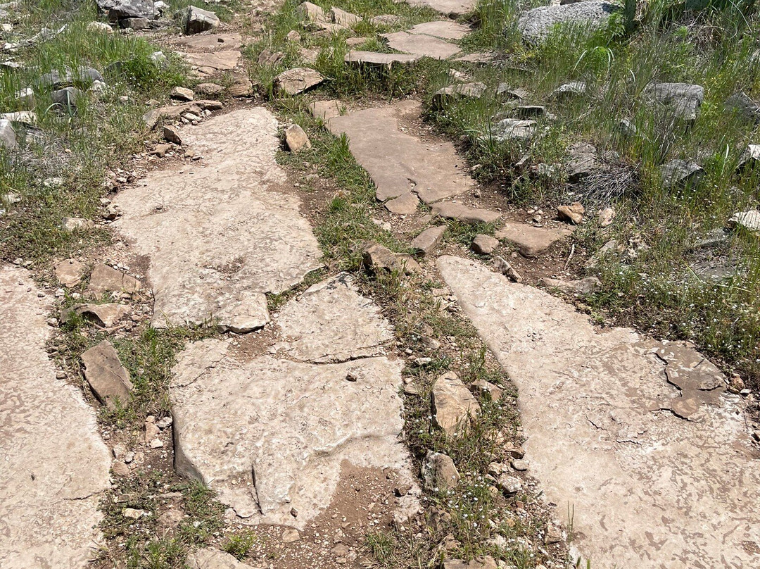 Gorman Falls景点图片