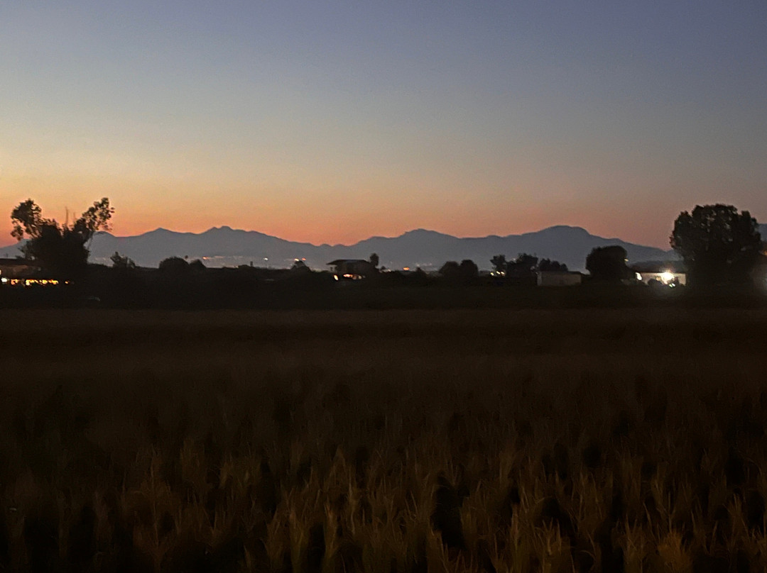 Villa Eleonora主图