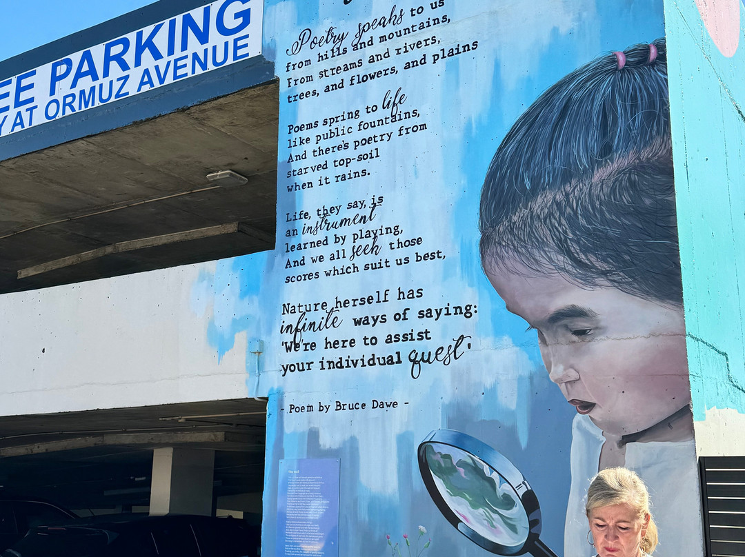 Caloundra's Street Art Walking Tour-卡伦德拉必去景点