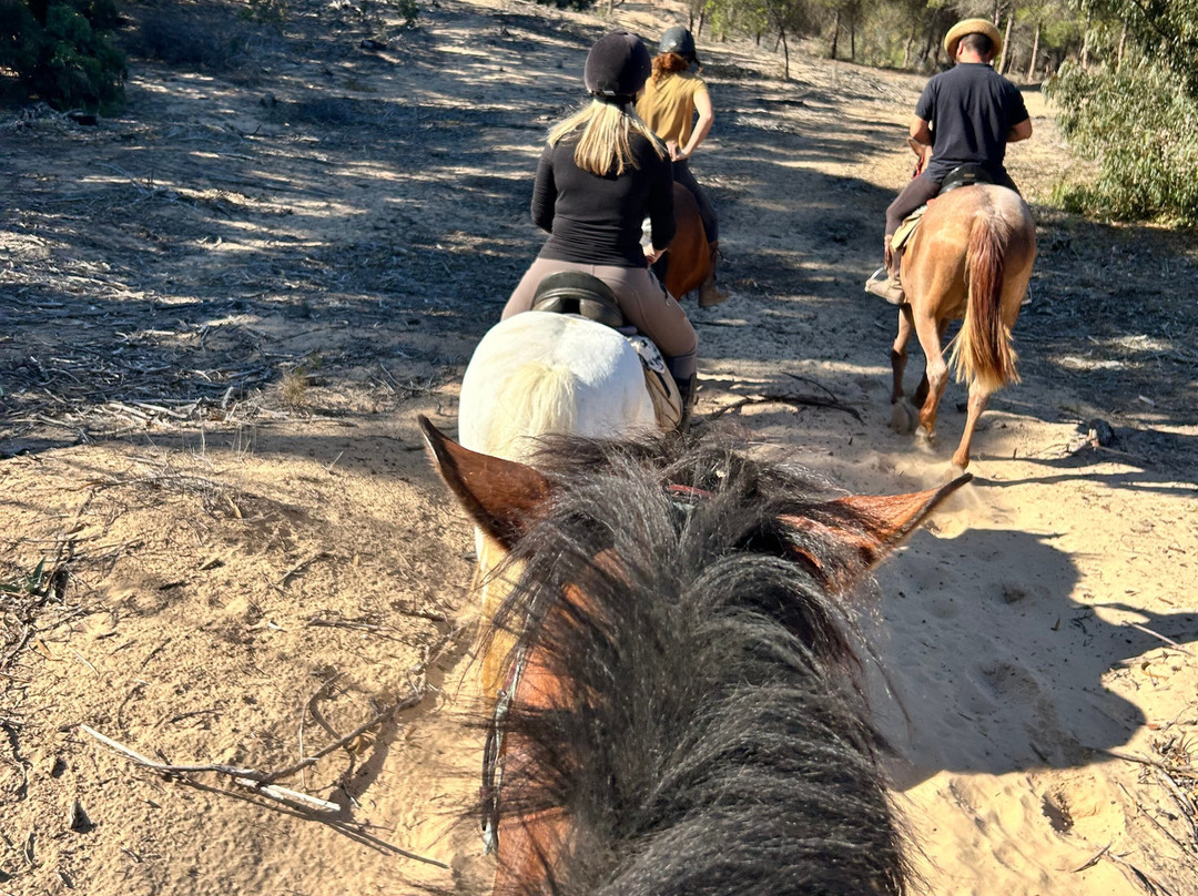 Jess's Pony Express景点图片