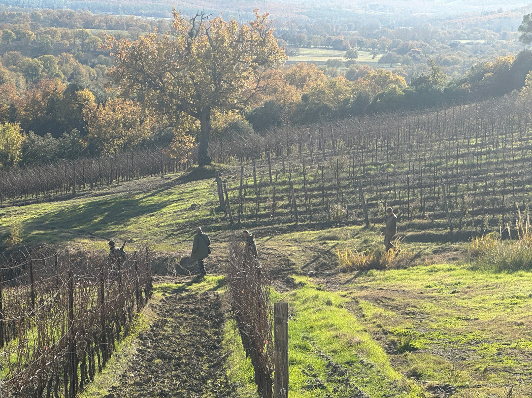 Azienda Agricola Diegale景点图片