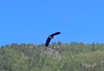 Balestrand Adventure景点图片