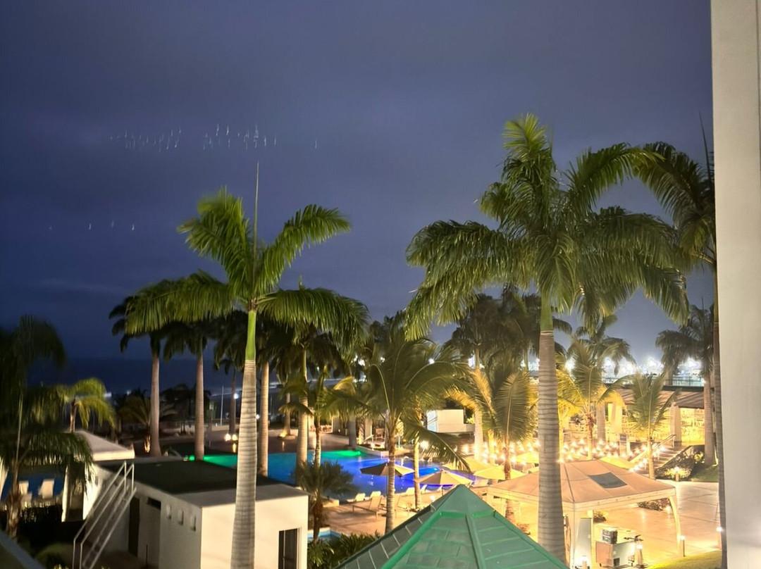 Oro Verde Manta主图