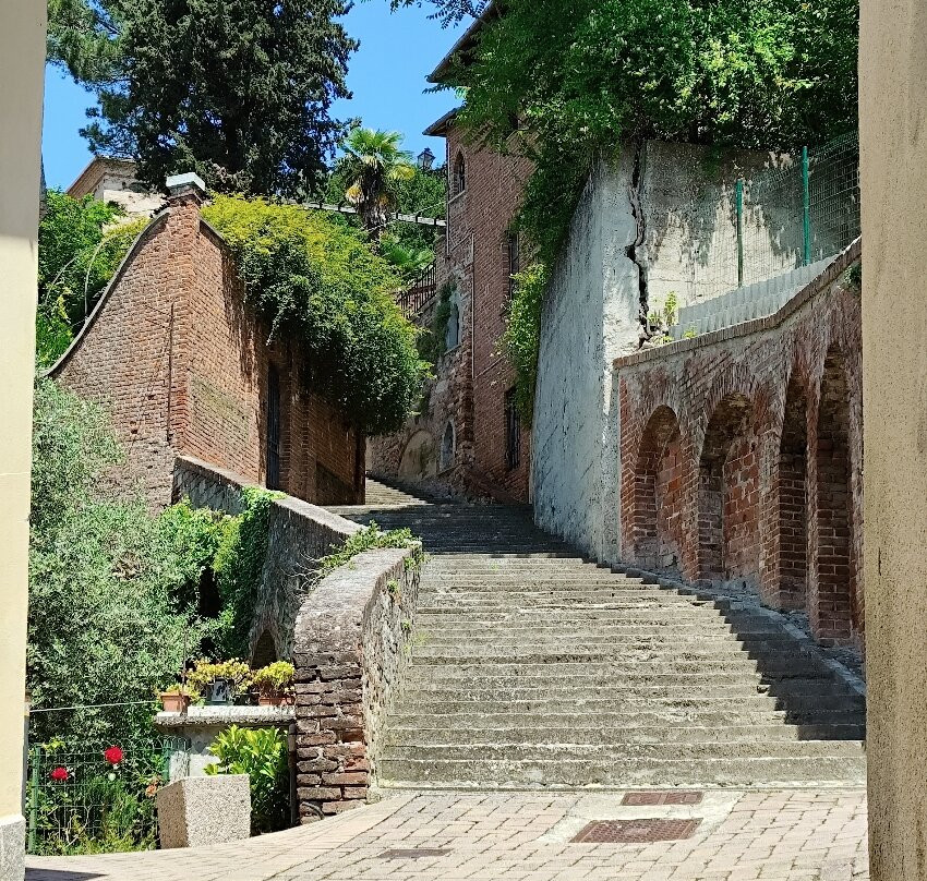 Casa Bonaria Simonetti景点图片