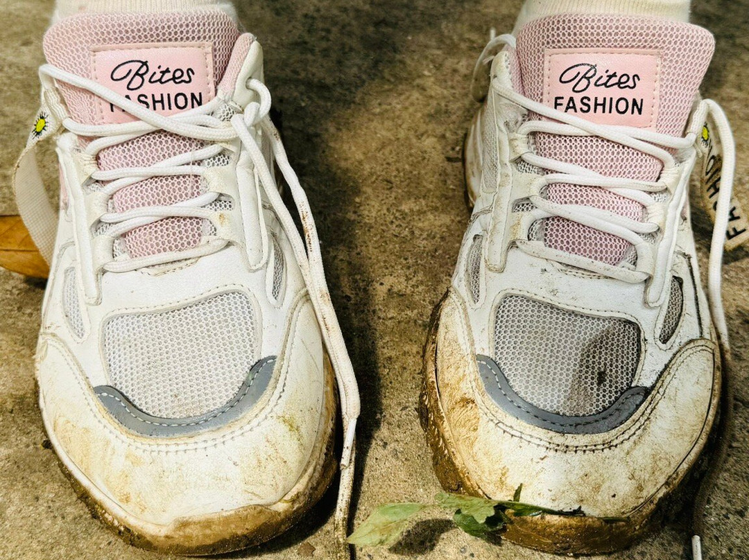 CHE Adventure Park-Hanwella必去景点