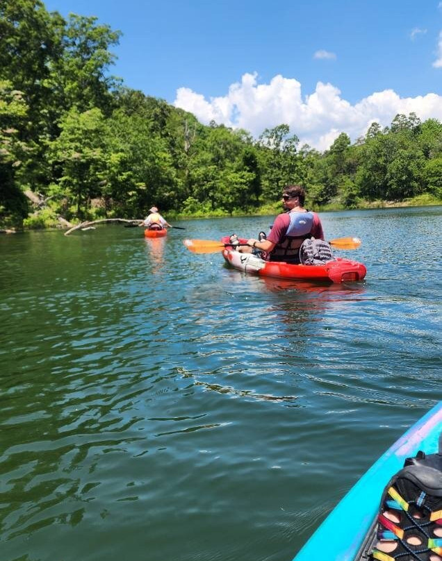 Ouachita Kayak Tours景点图片