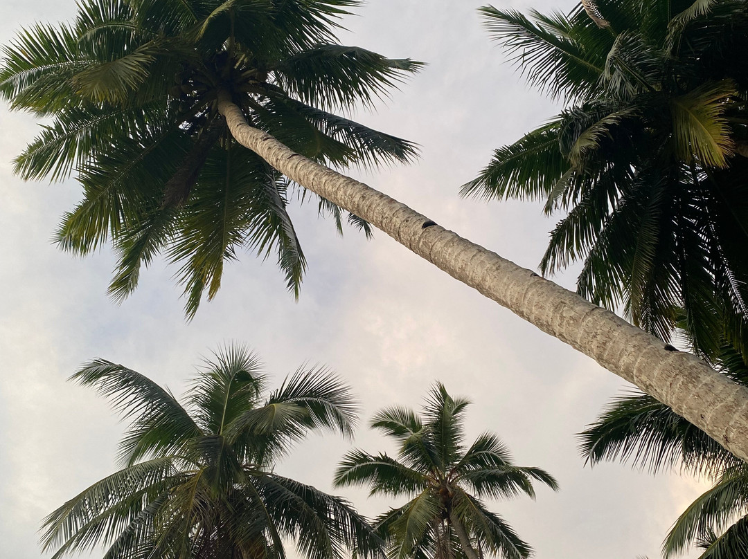 Lets Explore West Sumatra-巴东必去景点