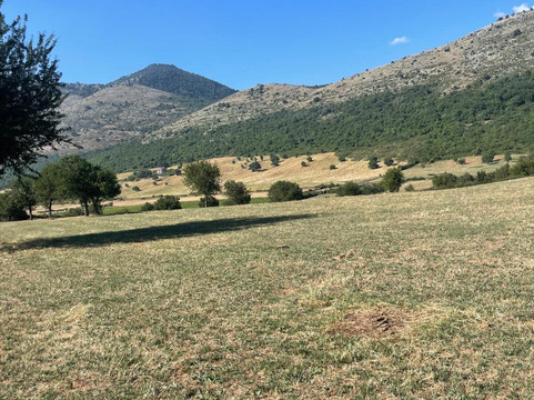 Limito Labirinto Di Vite-Bassiano必去景点