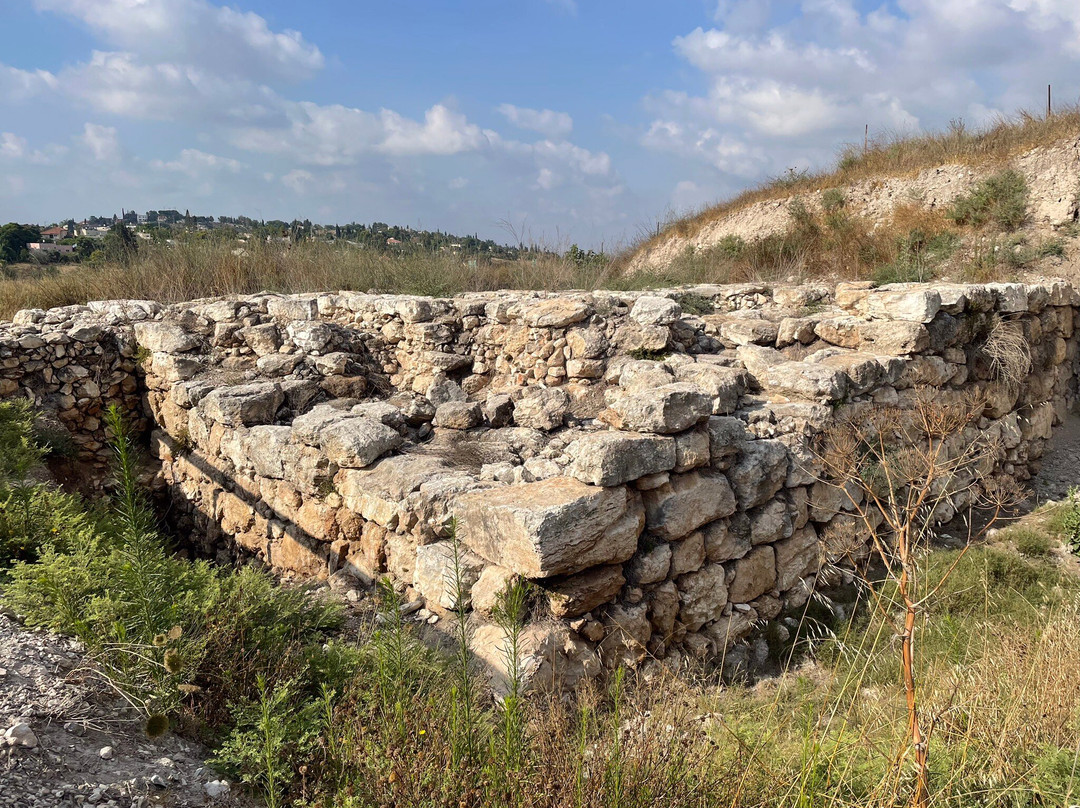 Atlantis Travel - Day Tours-Bat Yam必去景点