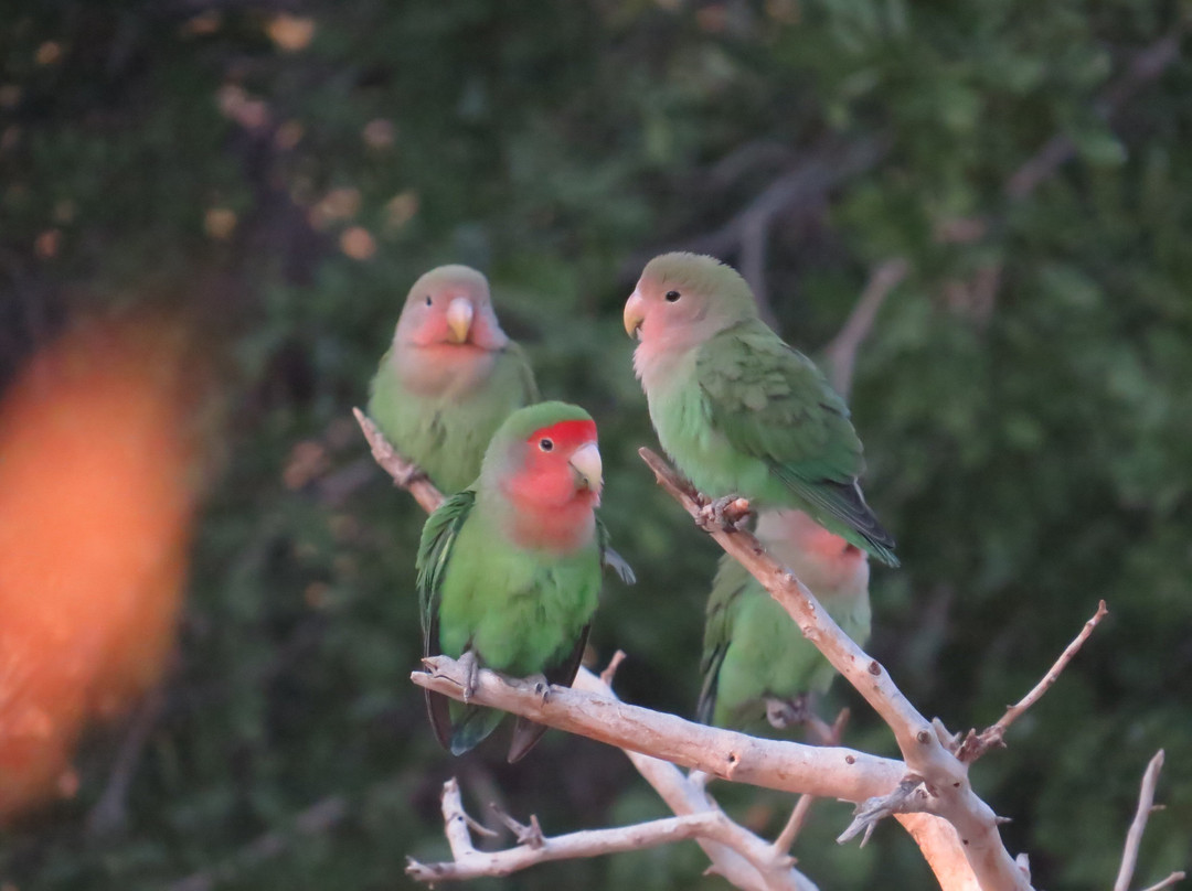 Weltevrede Guestfarm主图