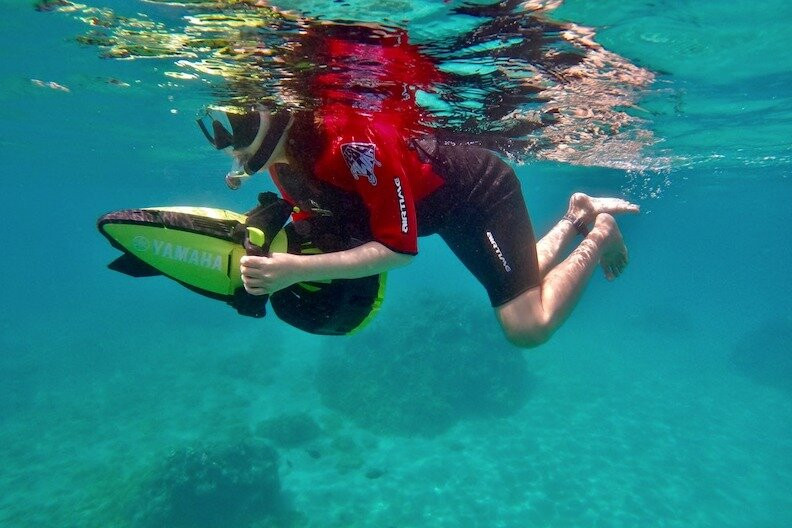 Eco Tours Maui LLC景点图片