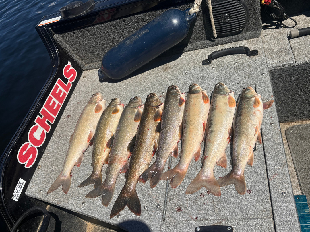 Fishing with Bernie景点图片