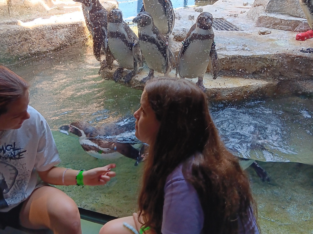 Moody Gardens Hotel, Spa And Convention Center主图