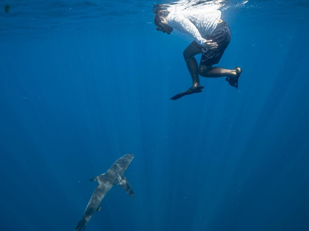 Uncharted Expeditions-圣何塞卡波必去景点