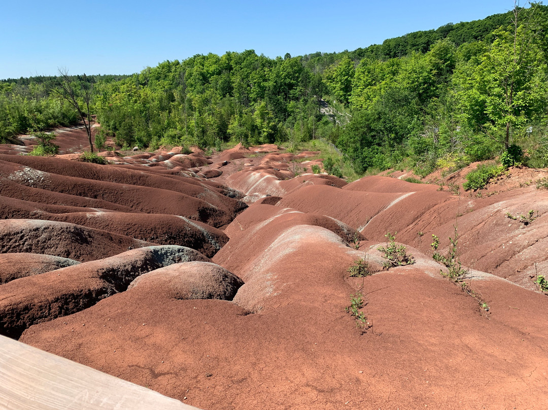 Cheltenham Badlands-卡利登必去景点