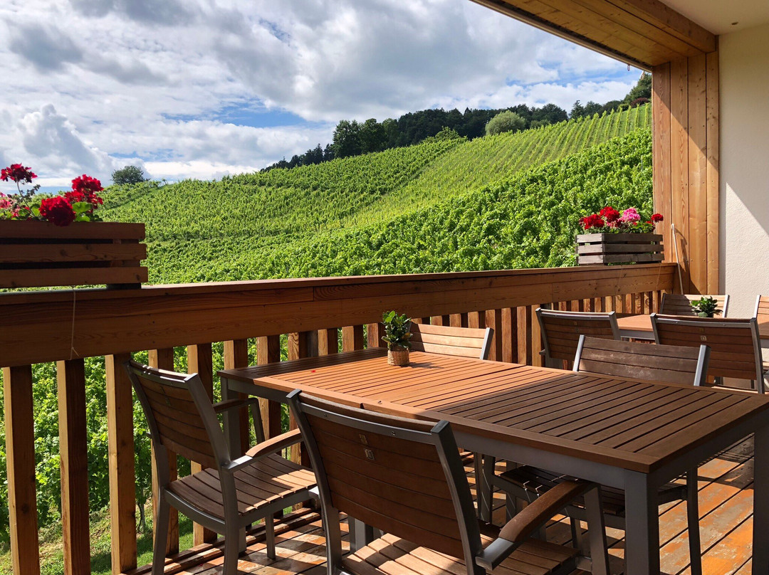 Vino Valdhuber-Zgornja Kungota必去景点