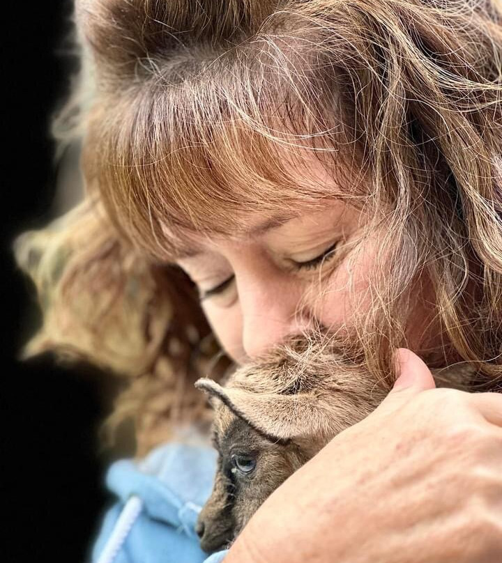 Another World Bed and Breakfast主图