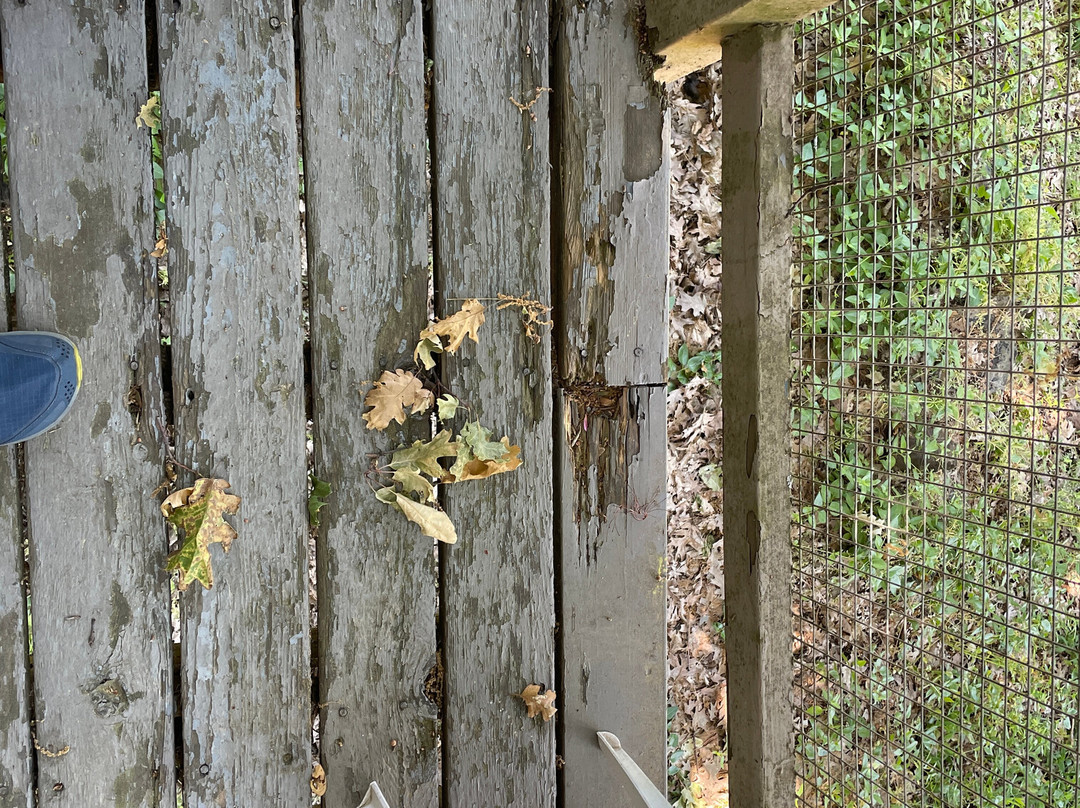 Alta Sierra Village Inn主图