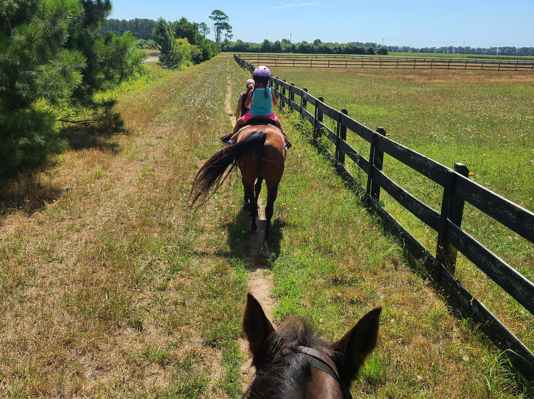 Queen Hive Farm-Assawoman必去景点