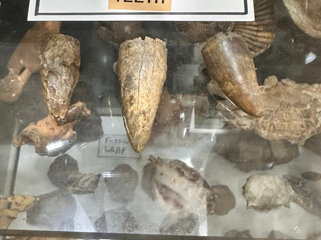 Kuranda Heritage Markets-库兰达必去景点