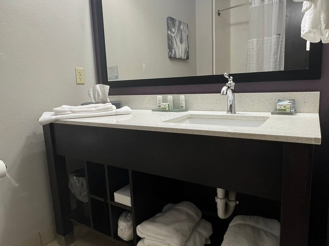 La Quinta Inn & Suites By Wyndham York主图