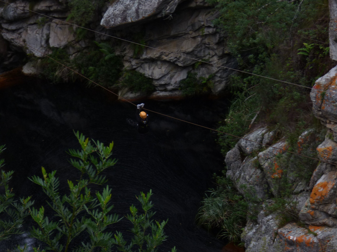 Tsitsikamma Falls Adventures景点图片