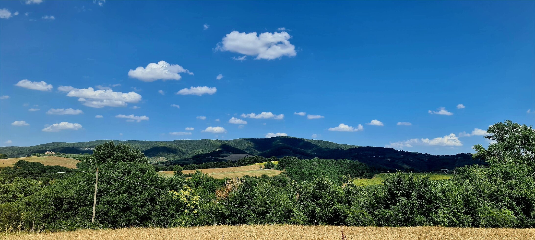 Antica Fattoria del Colle-官方