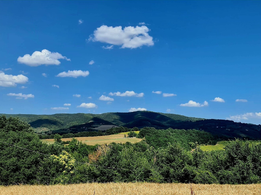 Antica Fattoria del Colle主图