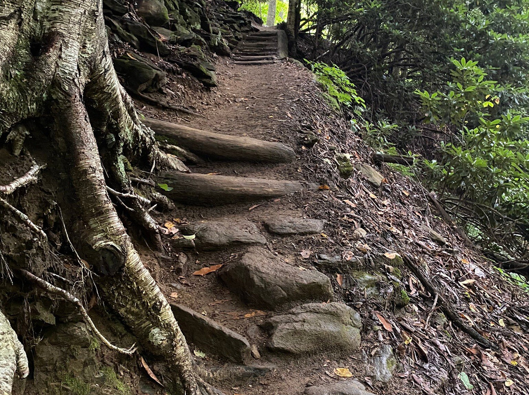 Skinny Dip Falls-Canton必去景点