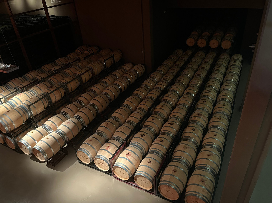 Bodegas Lozano景点图片