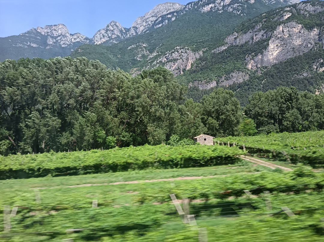 B&B Agritur al Vigneto主图