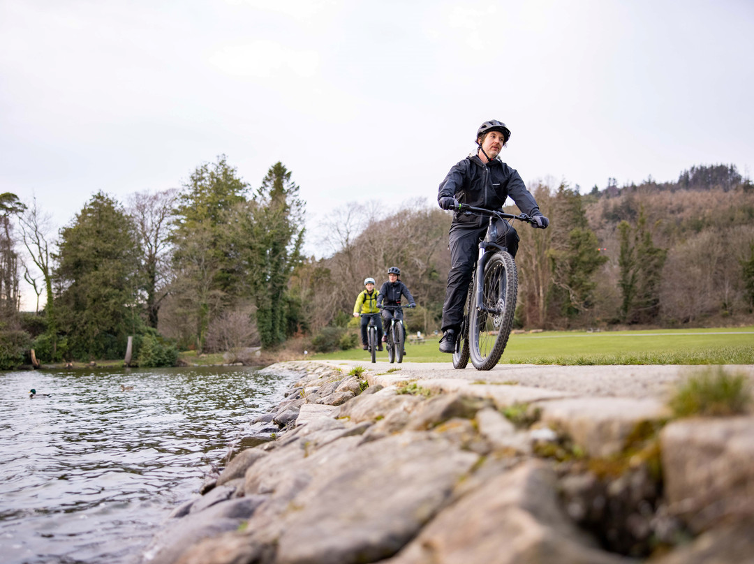 Castlewellan Mountain Bike Trails景点图片