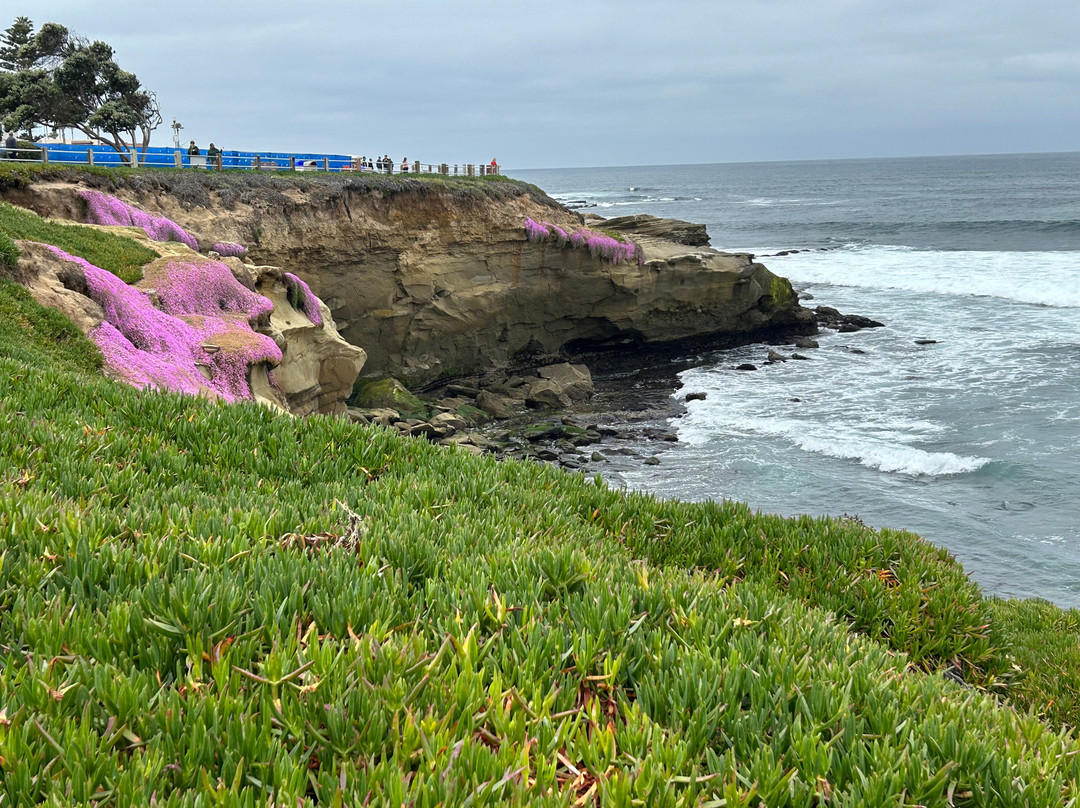 Murals of La Jolla-拉荷亚必去景点