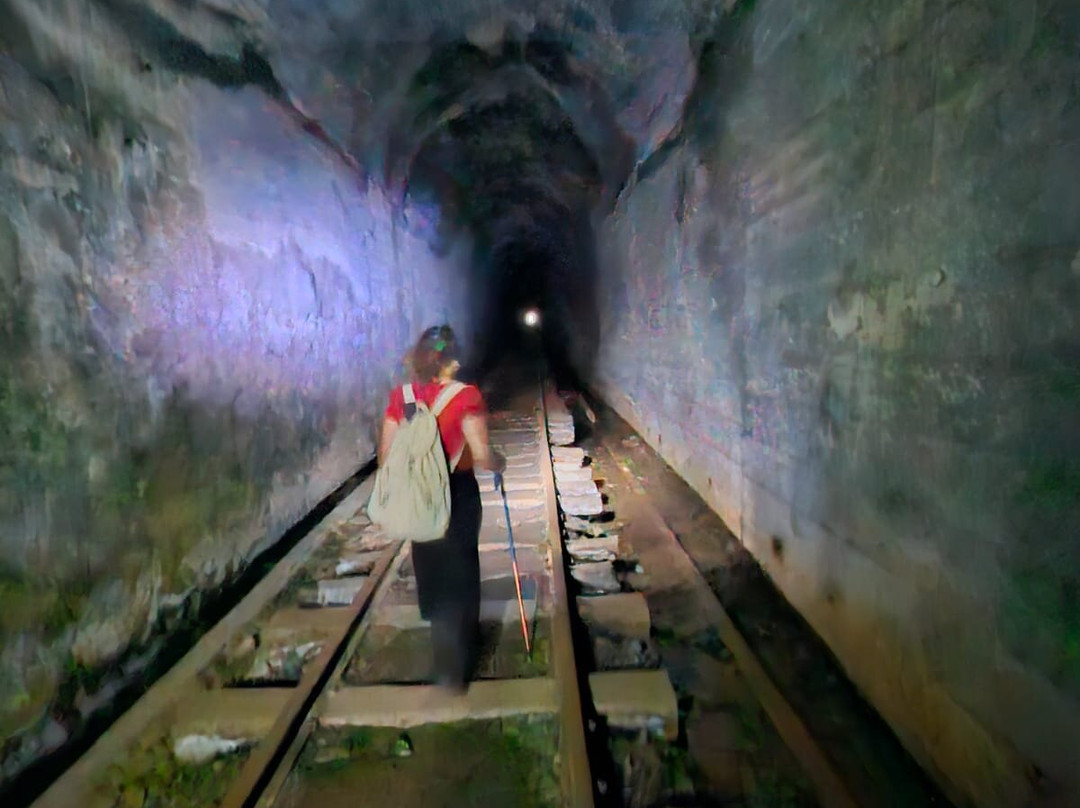 Túnel da Mantiqueira景点图片