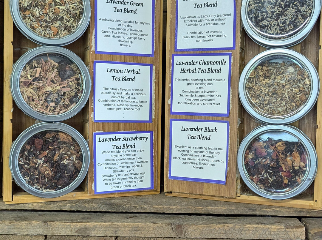 Purple Haven Lavender Farm-Haldimand必去景点