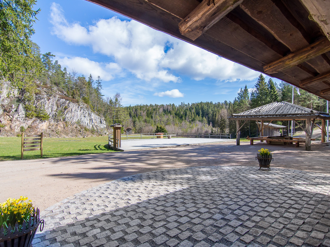 Ulkeröd Wingshooting Club-Hedekas必去景点