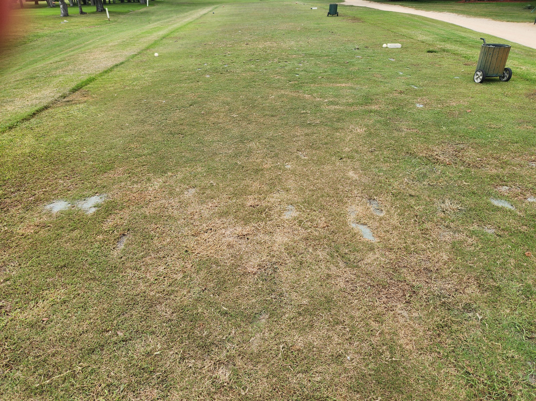 Spruce Creek Country Club景点图片