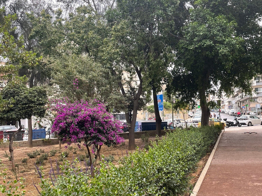 Georgiadis Park景点图片