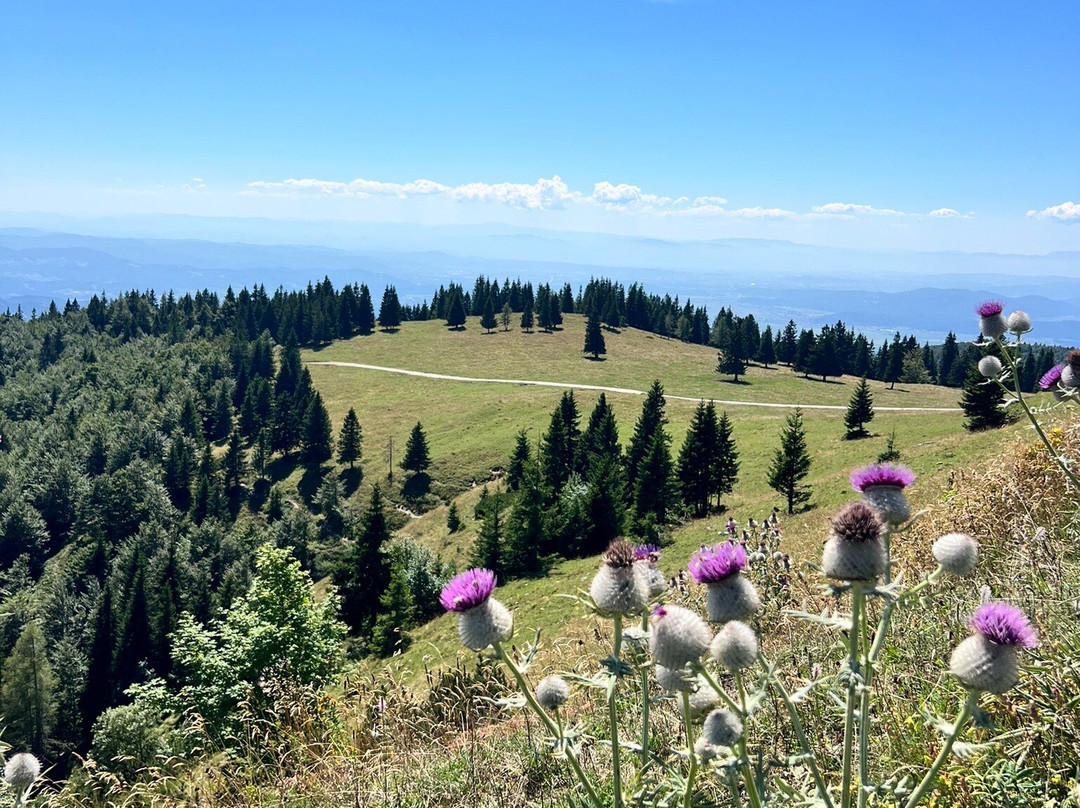 Velika Planina-Stahovica必去景点