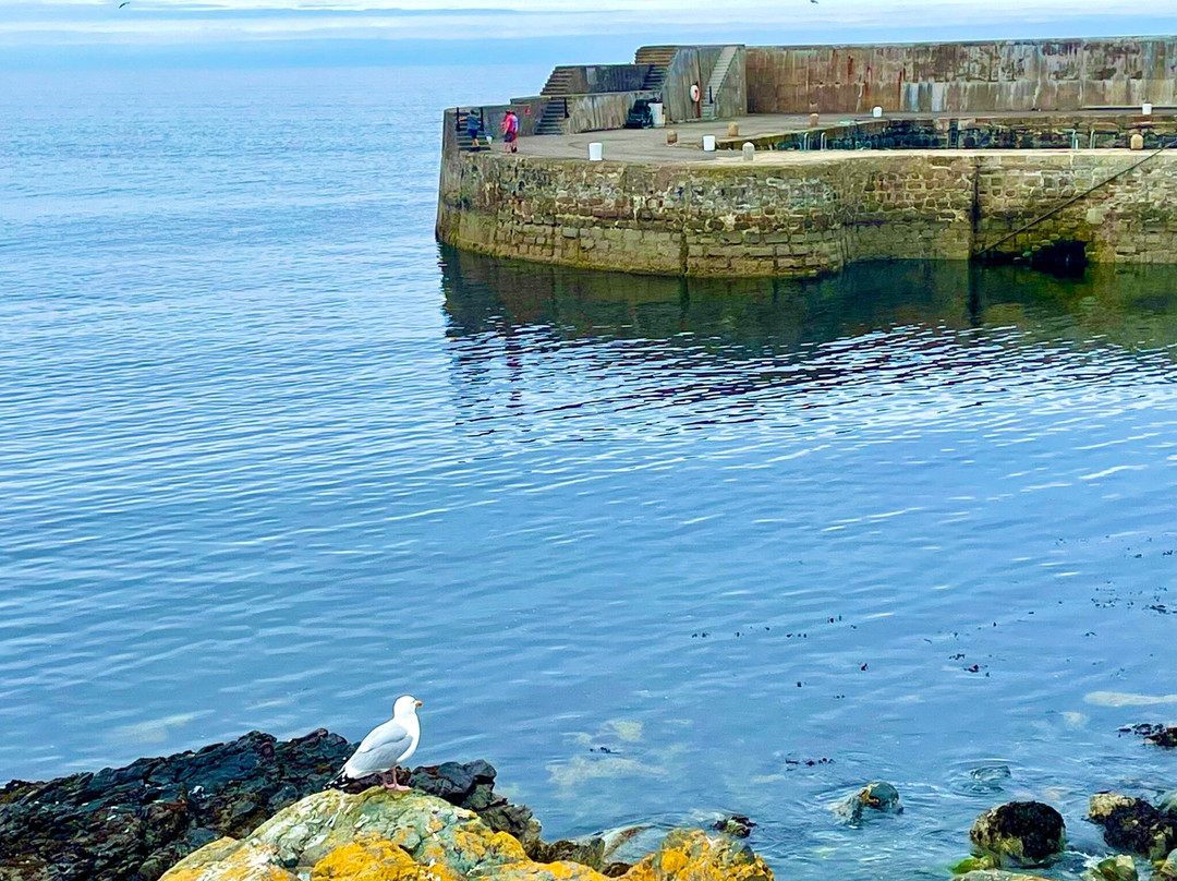 Portsoy Harbour-Portsoy必去景点