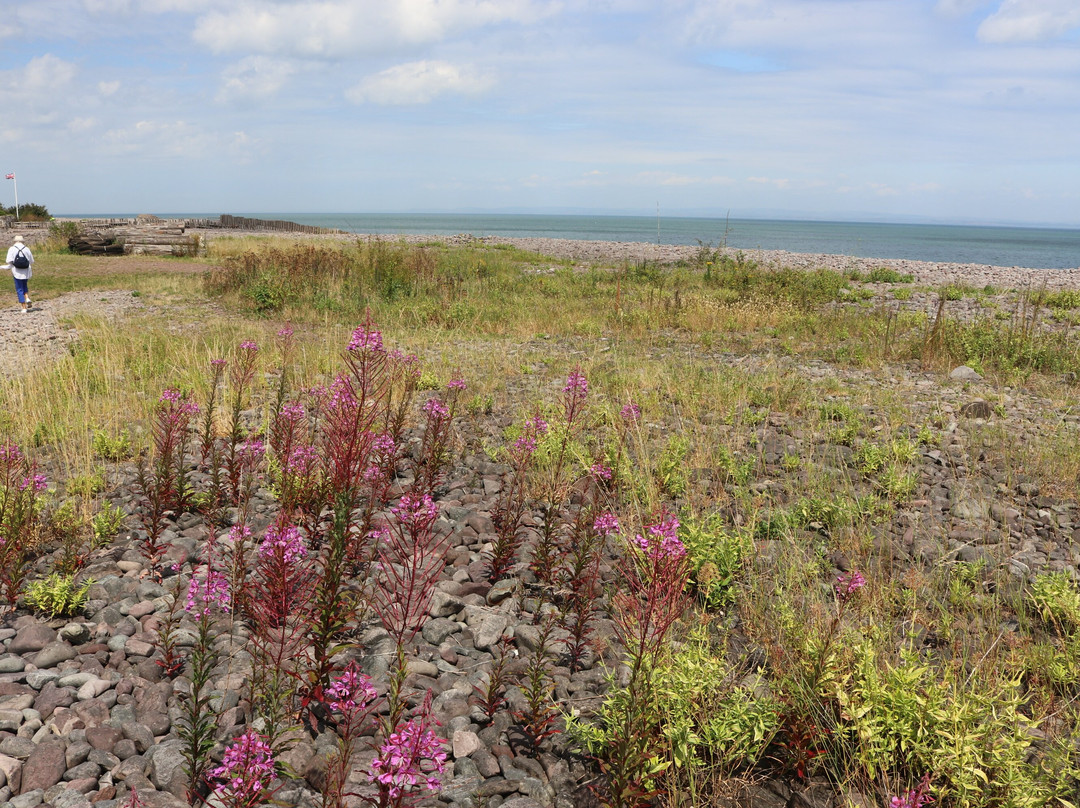 Porlock Weir Beach景点图片
