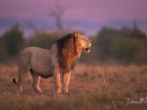 Natures Wonderland Safaris-内罗毕必去景点