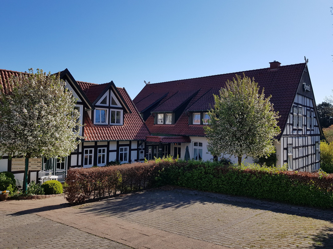 Bad Essen酒店住宿-Historisches Landhotel Buchenhof Garni