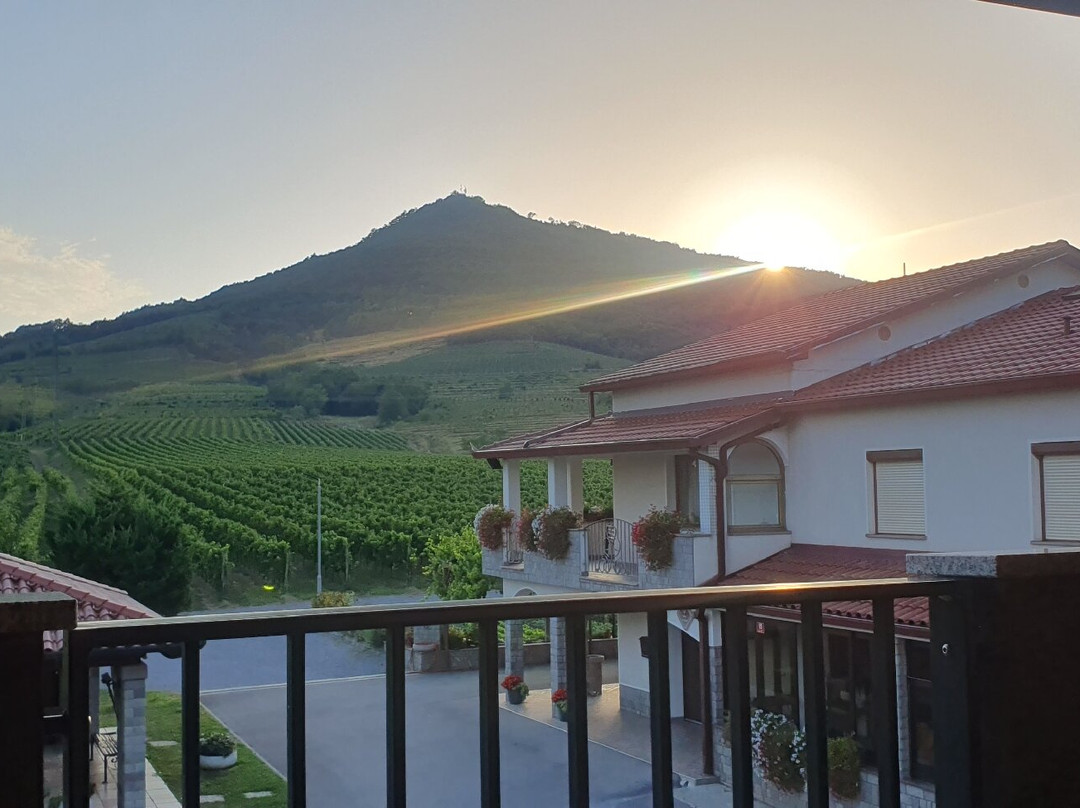 Rouna wines-Slap必去景点